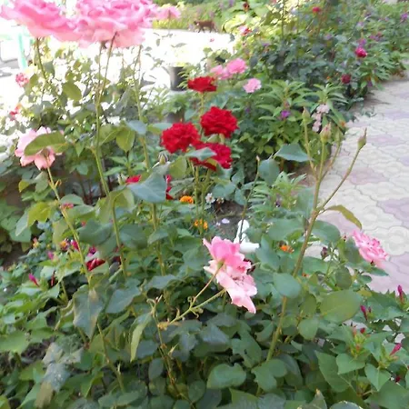 Guest house Ankara