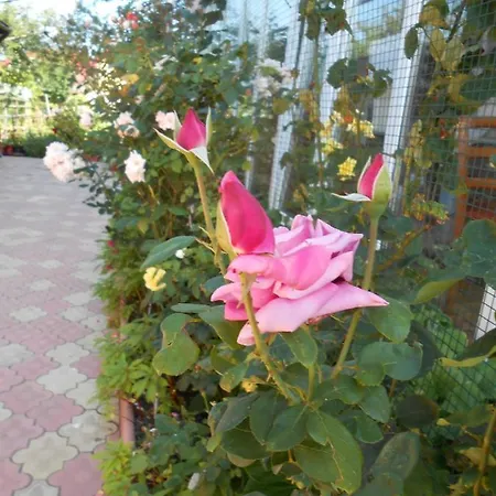 Ankara Guest house