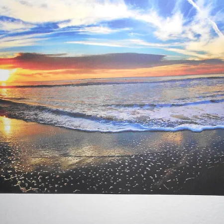 Ankara 코스티네스티